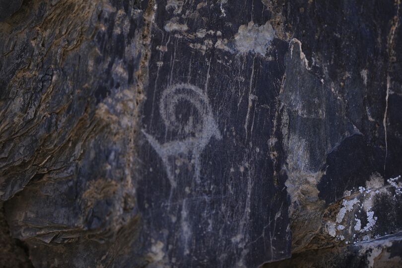 Среди петроглифов, найденных в ущелье Сармышсай в Навоийской области, есть рисунки возрастом 10 000 лет