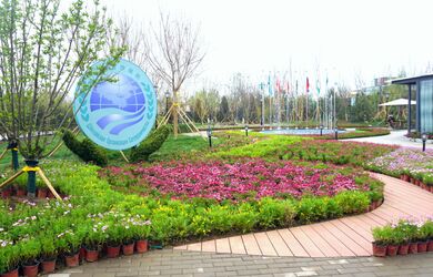 В Пекине открылась Международная садоводческая выставка ЭКСПО-2019