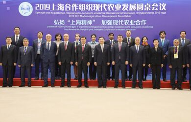 Круглый стол об укреплении сотрудничества в сфере современного сельского хозяйства во имя развития Шанхайского духа