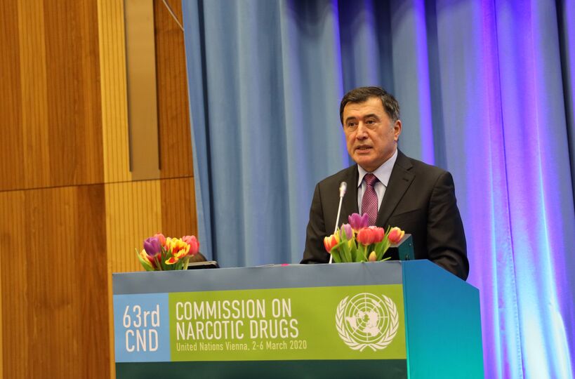 Пленарная сессия 63-й сессии Комиссии ООН по наркотическим средствам