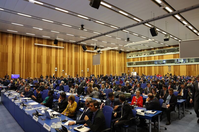 Пленарная сессия 63-й сессии Комиссии ООН по наркотическим средствам
