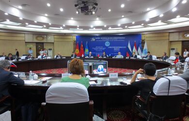 Круглый стол ШОС в рамках Первого Китайско-Российского ЭКСПО