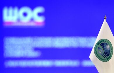 Продолжается работа в рамках ШОС по расширению взаимных расчетов в национальных валютах