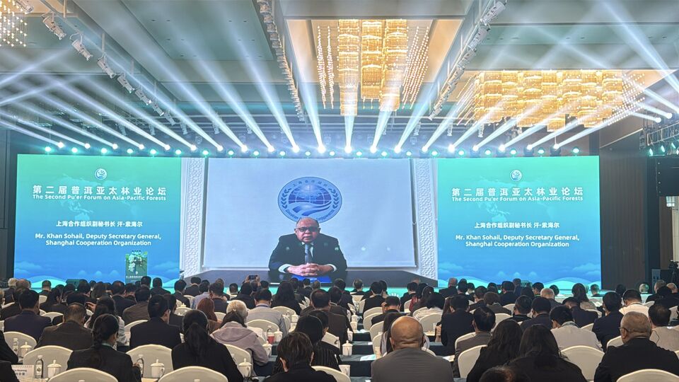 О Международном форуме Азиатско-Тихоокеанского региона по лесной тематике