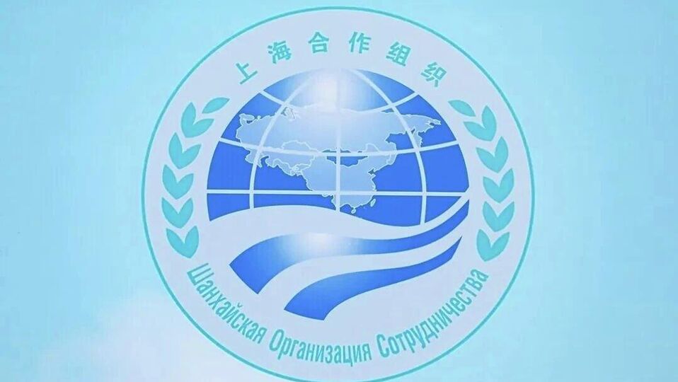 上合组织成员国国家协调员理事会会议举行