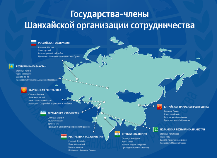 TEST_инфографика