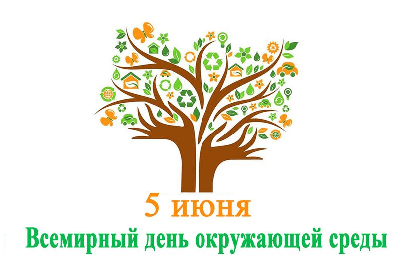 ТАСС: «Государства - члены ШОС привержены охране окружающей среды – Владимир Норов»